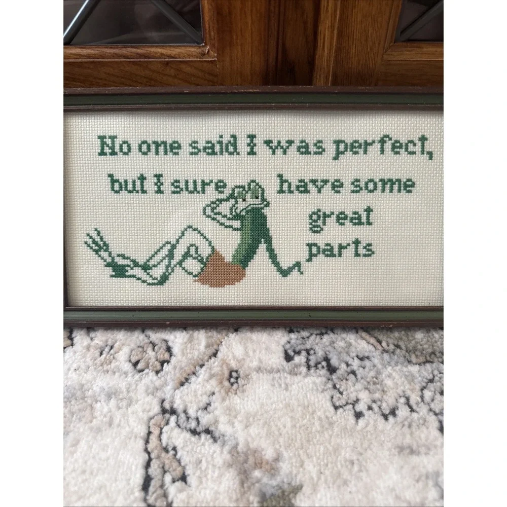 Humorous Framed Cross Stitch Quote Finished Wall Decor Art Sexy Toad